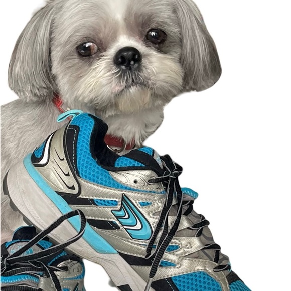 Meet The Posher - Picture 2 of 2